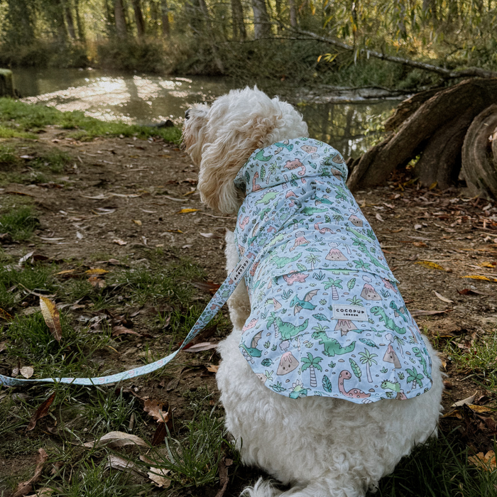 White dog in a Dinopaws-patterned Cocopup London raincoat sits by a pond on a leash, facing away in wooded area.
