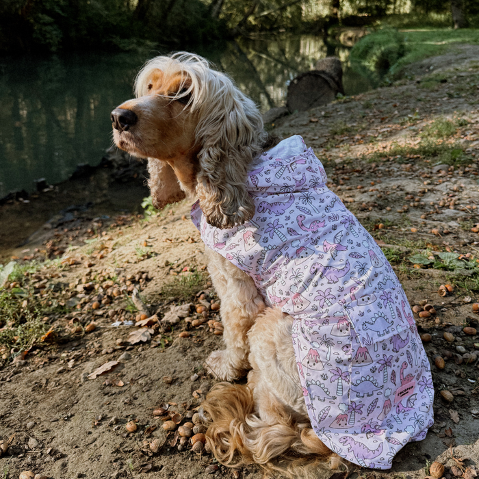 Dog wearing a Cocopup London pink raincoat with dino design sits on a leafy dirt path beside a riverbank.