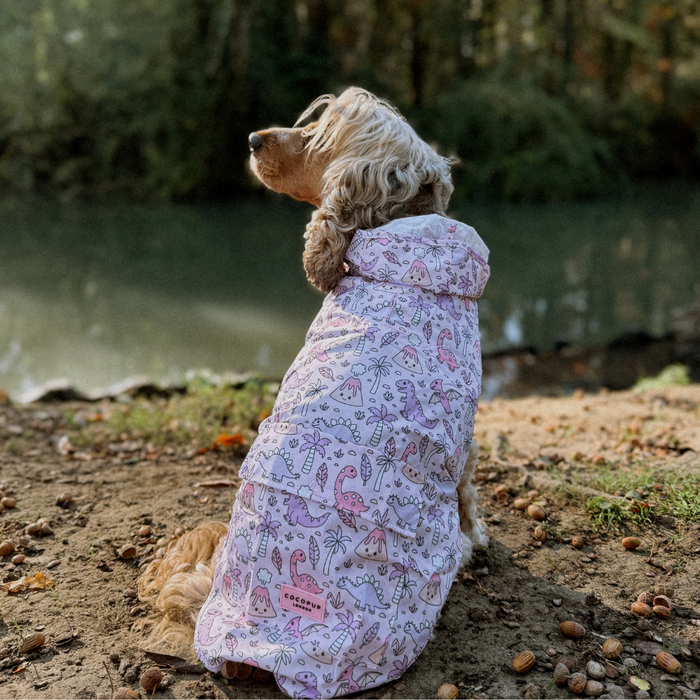 Dog wears a pink Cocopup London Princess Dino raincoat while sitting beside a lake.