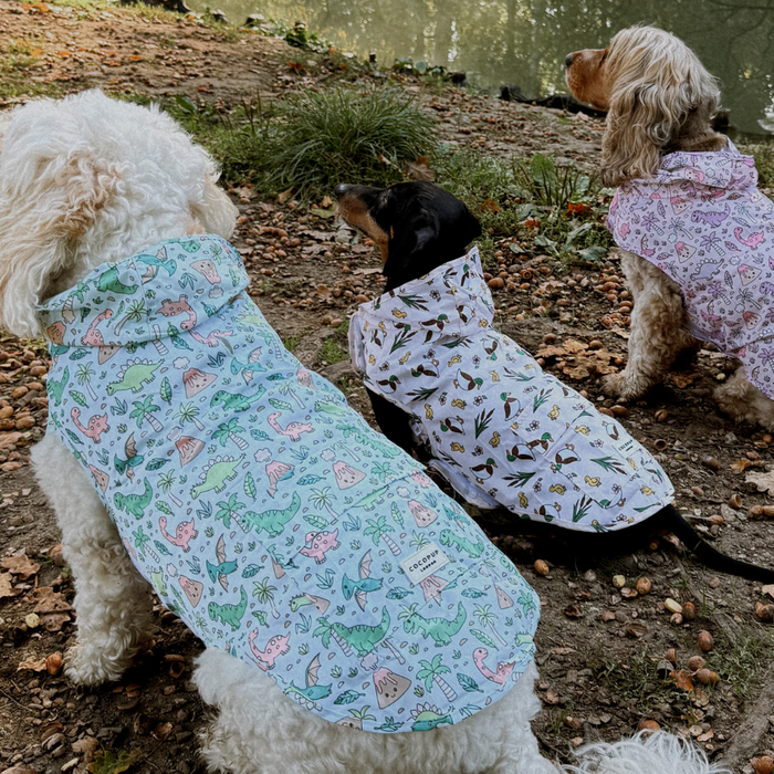 Three dogs wearing green Cocopup London Princess Dino raincoats sit on leafy ground beside a pond.
