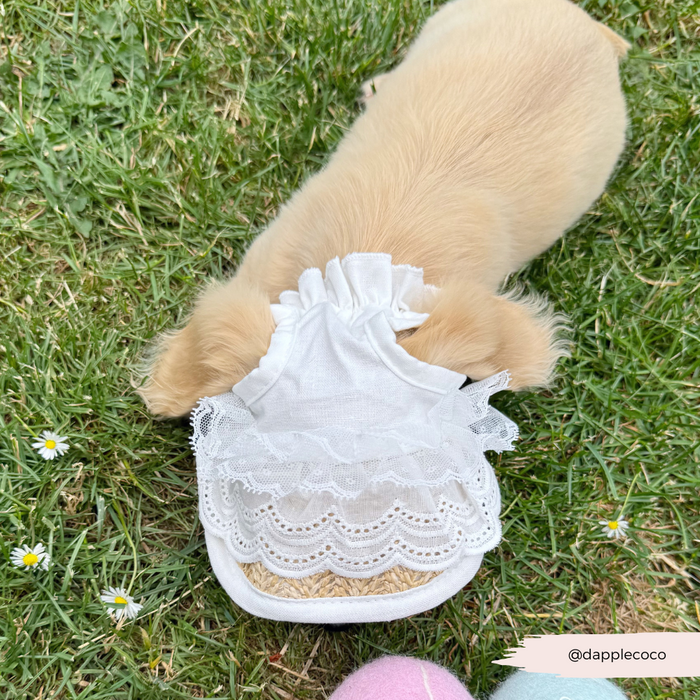 Tan puppy in a frilly white dress and straw sun hat with lace trim lying on grass.