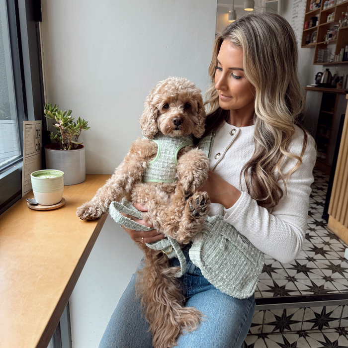Woman and her dog in a cafe by the window with a green textured tweed Cocopup London dog walking bag.