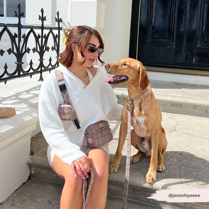 Woman in white hoodie on steps with her smiling dog, both holding plaid Cocopup London dog walking bags.