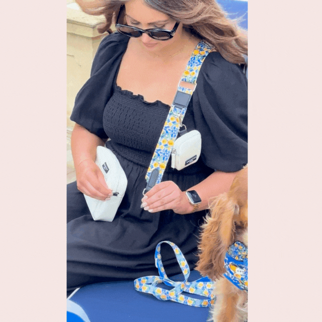 Woman in a black dress sits next to her dog, both wearing matching yellow lemon-patterned Cocopup London bag accessories.