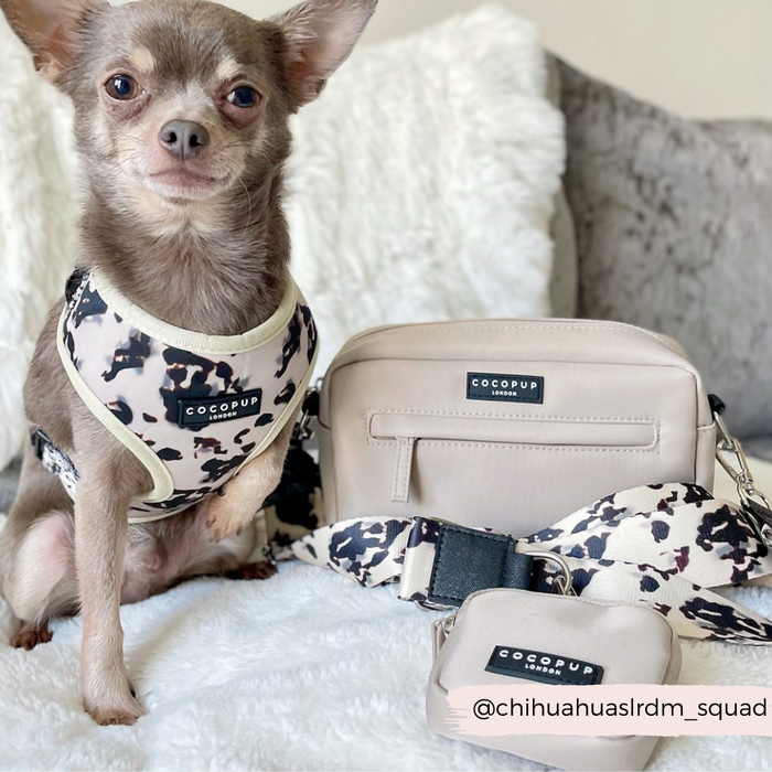 Chihuahua in a cow-print harness beside Cocopup Londons ivory tortoise-pattern dog walking bag bundle.