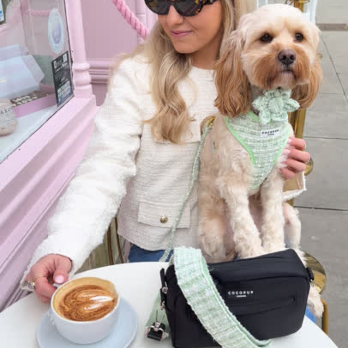 Woman in sunglasses holds a small dog wearing a green tweed flower collar at an outdoor cafe table.