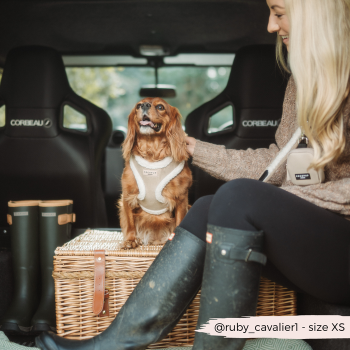Woman smiling at a brown dog in a harness next to a nude Cocopup London Dog Walking Bag Bundle inside a car.