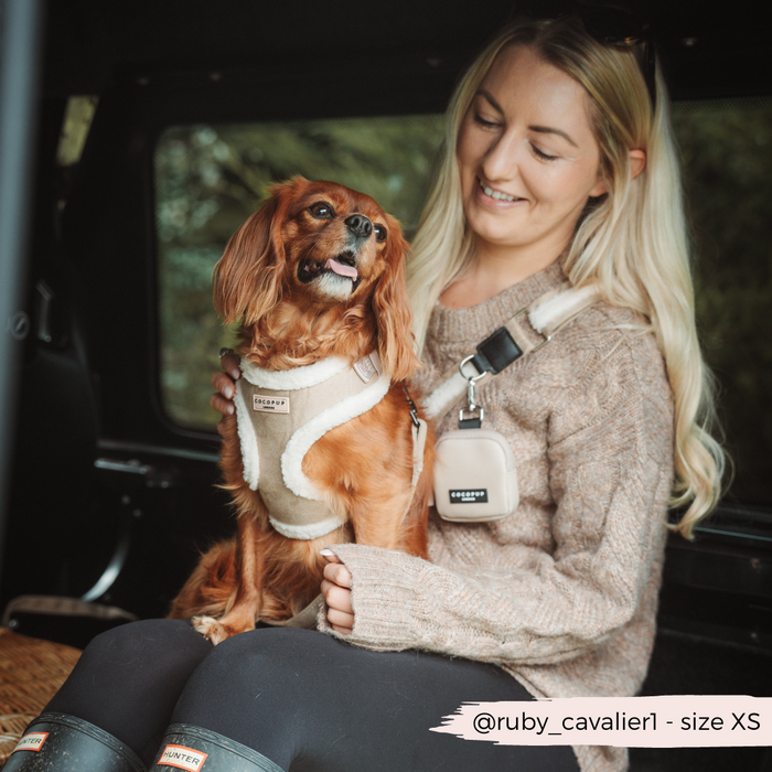 Small brown dog in cream harness next to a nude Cocopup London dog walking bag; woman smiling in the background.