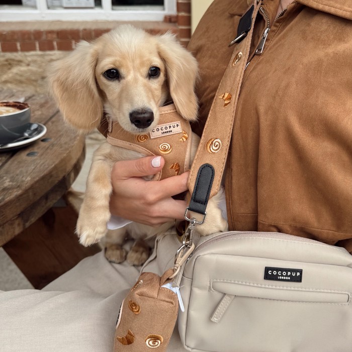 Tan dachshund puppy in harness held next to a pink Cocopup London Pawtisserie poop bag holder on the table.