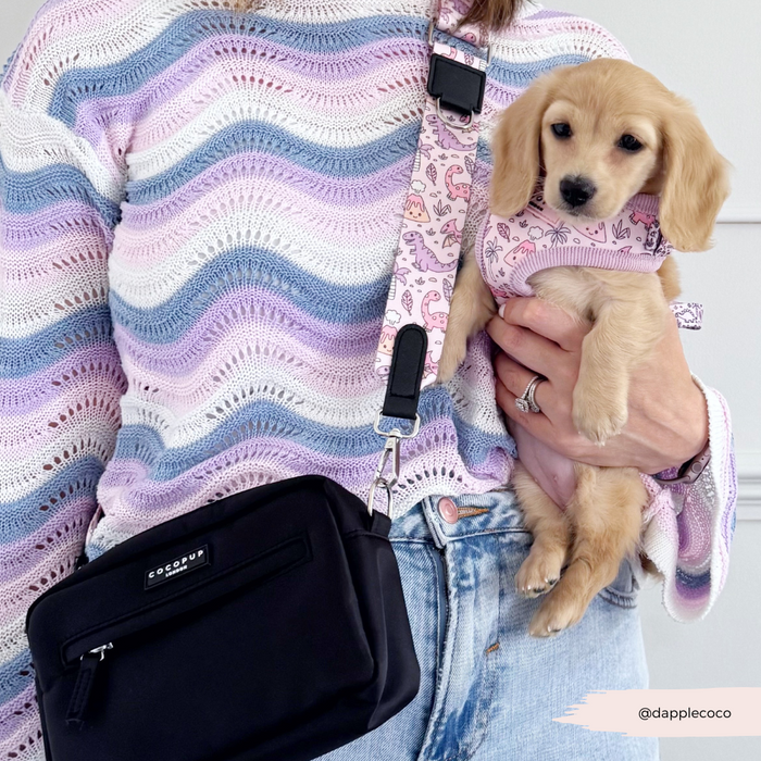 Tan puppy in a pink and green dinosaur pattern harness and lead, held by a person in a pastel sweater.