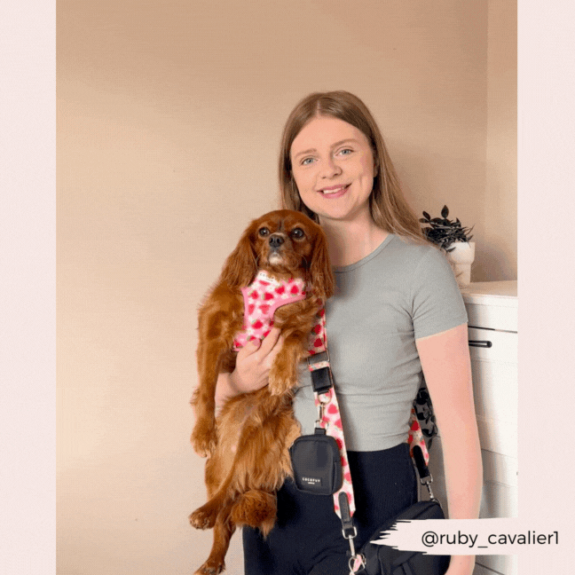 Smiling woman holds Cavalier in pink harness, showing Cocopup London Pupberry Fields dog walking bag bundle.