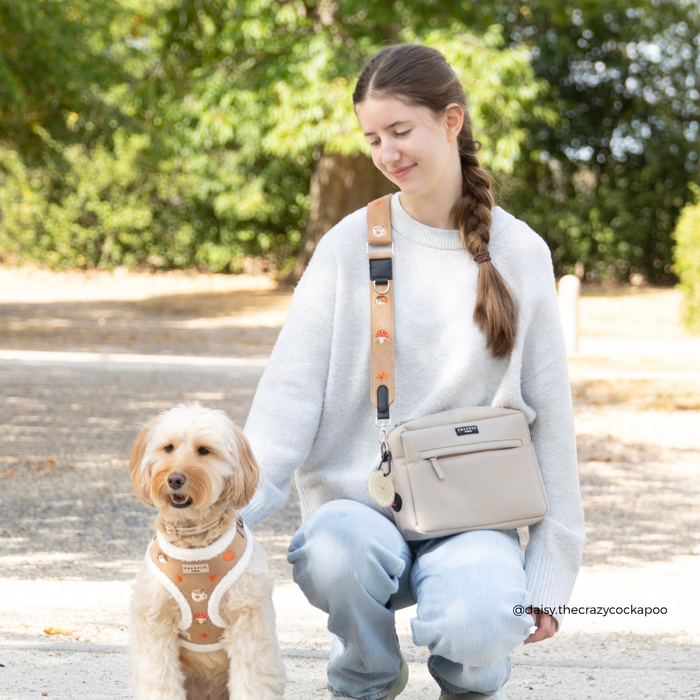 A woman crouches outdoors next to a small dog, wearing a light beige crossbody bag with a matching dog harness. The background is a softly blurred park setting with green trees and sunlight.