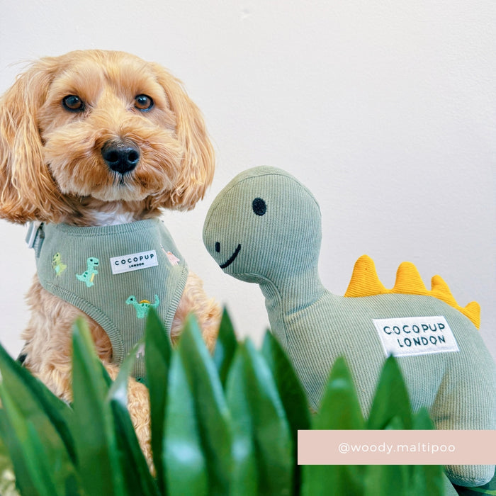 Fluffy tan dog in green harness with Cocopup Londons green dinosaur plush toy, surrounded by leafy greenery.