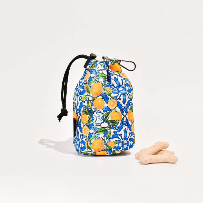 Yellow Cocopup London drawstring treat pouch with Amalfi lemon print, next to three bone-shaped biscuits on white background.