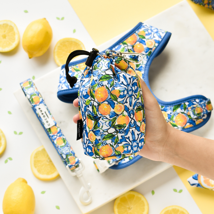 Hand holding a yellow lemon-patterned Cocopup London treat pouch beside a matching leash and harness.