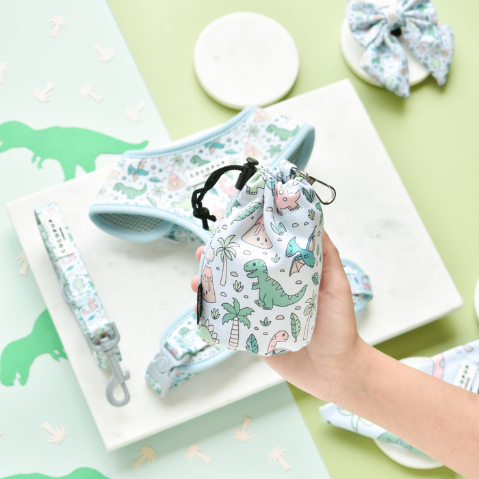 Hand holding a green Dinopaws print drawstring treat pouch, with matching pet accessories nearby.