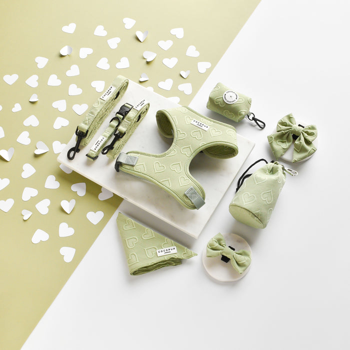 Sage green drawstring treat pouch with white heart pattern, shown alongside matching sage green dog accessories.