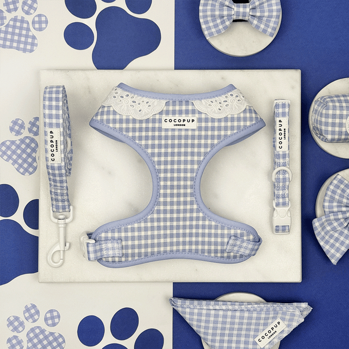 Blue and white checkered, gingham design Dog Harness, Collar & Lead set.