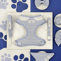 Blue and white checkered, gingham design Dog Harness, Collar & Lead set.
