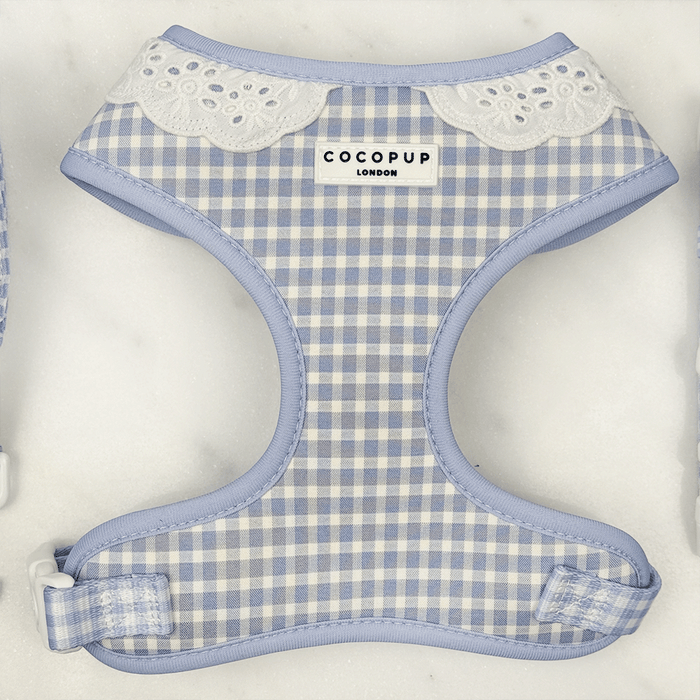 Blue and white checkered, gingham design Dog Harness with white lace trim.