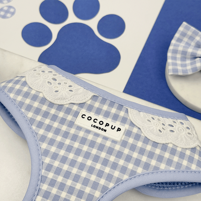 Blue and white checkered, gingham design Dog Harness with white lace trim.
