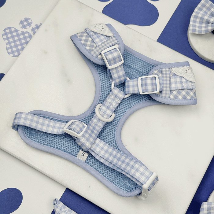 Blue and white checkered, gingham design Dog Harness showing the reverse side.