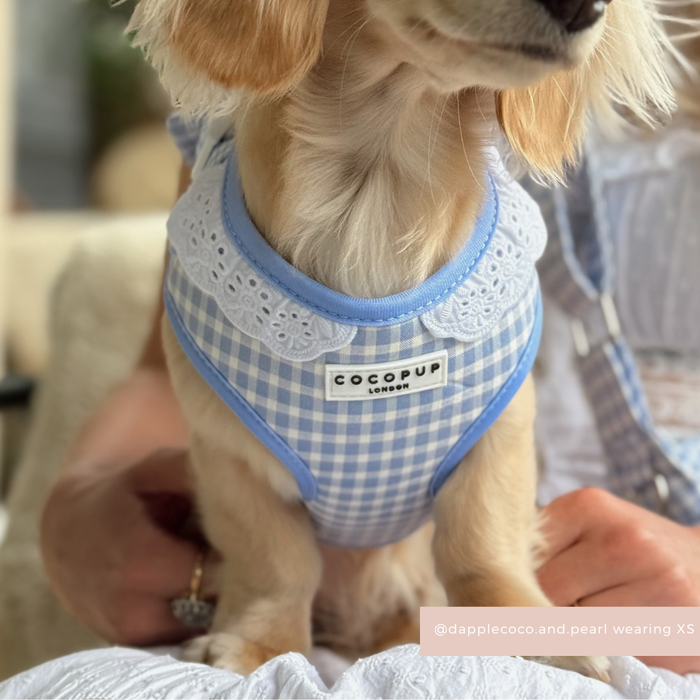 English Blue Adjustable Neck HARNESS
