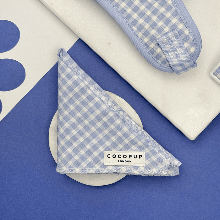 Blue and white checkered, gingham design Dog Bandana.