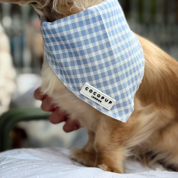 English Blue Bandana