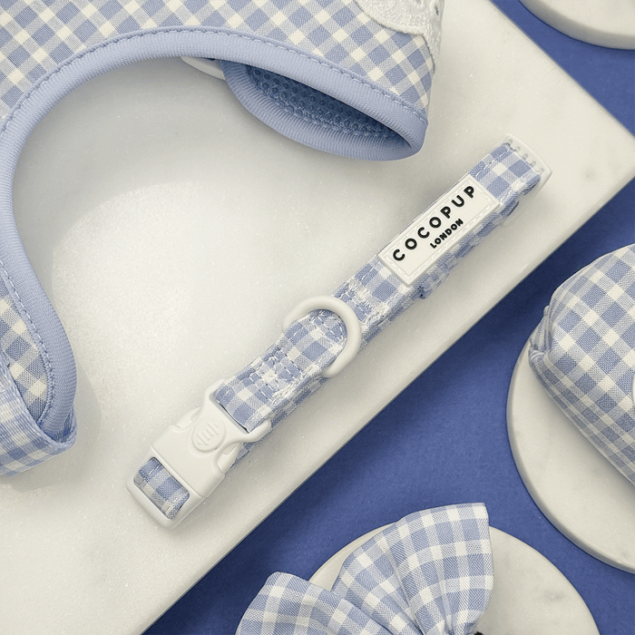 Blue and white checkered, gingham design Dog Collar.