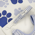Blue and white checkered, gingham design Dog Lead.