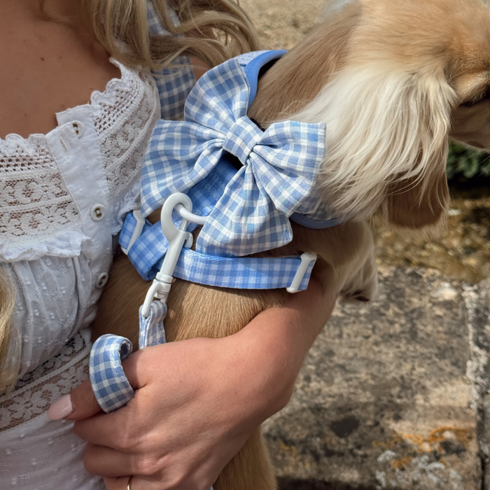 English Blue Sailor Bow Tie