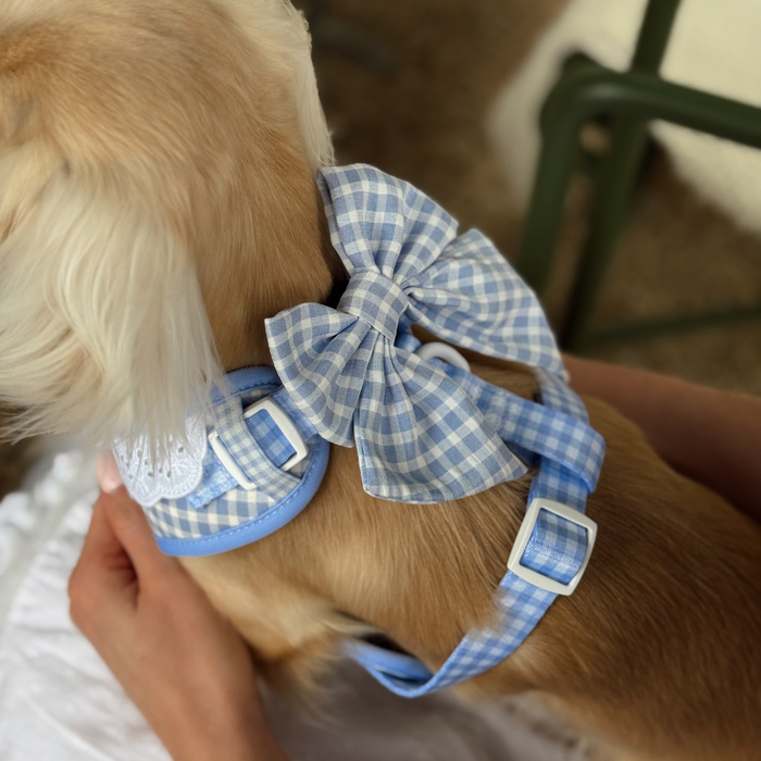 English Blue Sailor Bow Tie