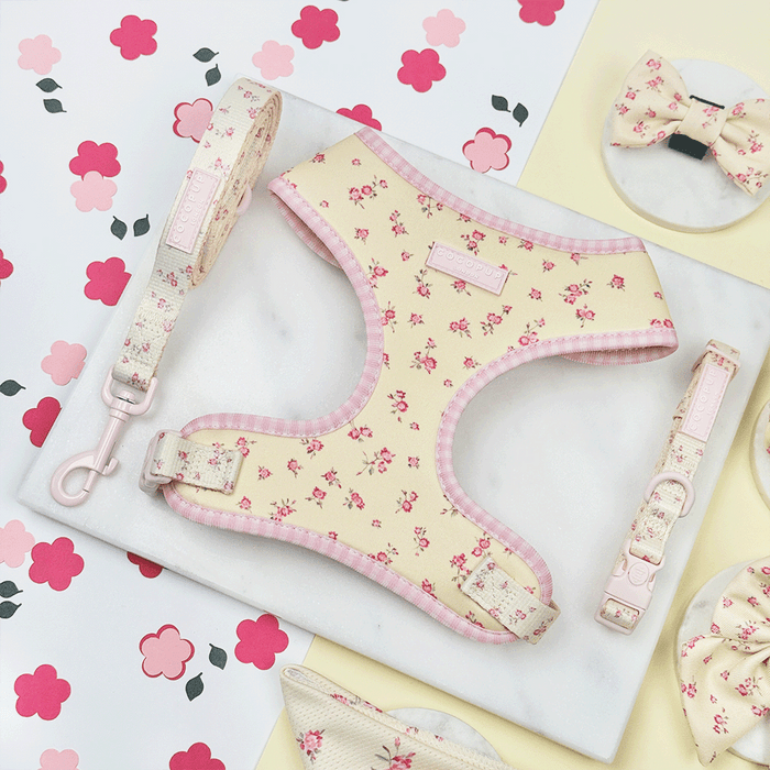 Floral Dog Harness, Lead & Collar with yellow background and pink flowers.