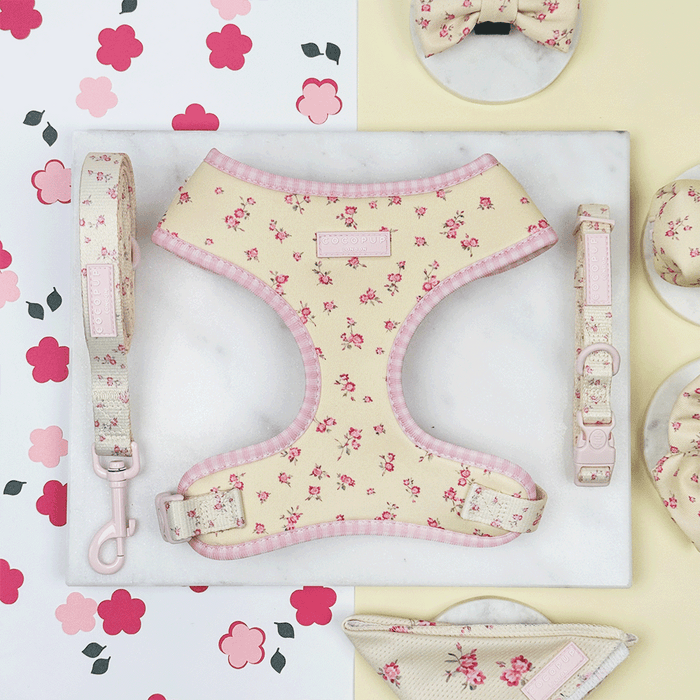 Floral Dog Harness, Lead & Collar with yellow background and pink flowers.