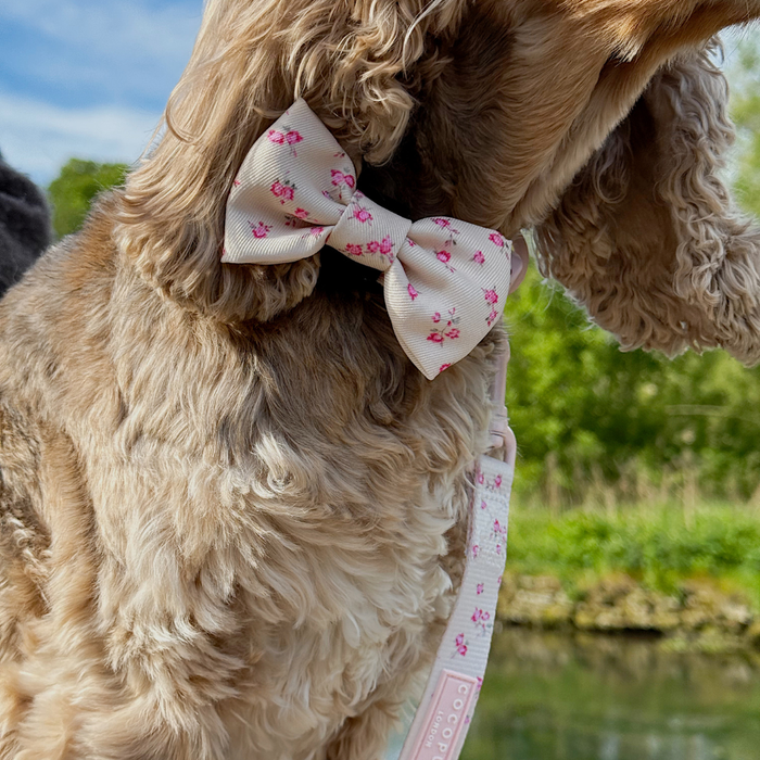 English Rose Bow Tie