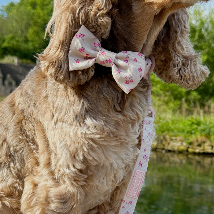 English Rose Bow Tie