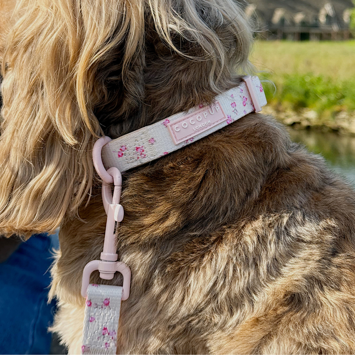 English Rose COLLAR
