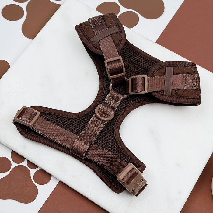 Espresso brown quilted harness, lead, and collar bundle with adjustable neck, displayed on white with brown paw prints.