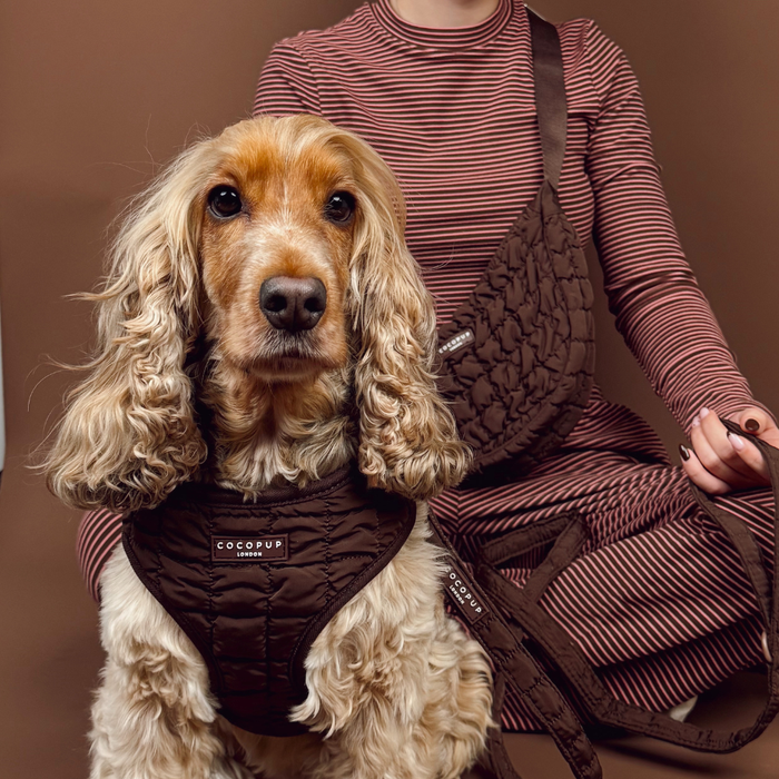 Dog wearing an espresso quilted harness sits beside a person holding a matching quilted bag.