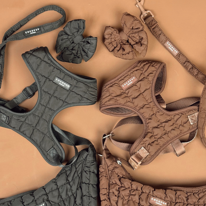 Espresso brown quilted dog leads and harnesses with small bows, displayed on a tan background.