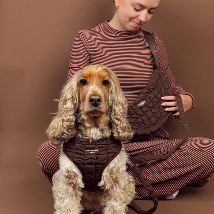 Brown dog in a Cocopup London espresso quilted harness sits with a woman in striped pajamas.