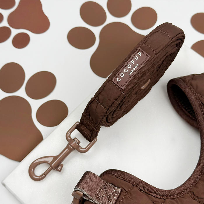 Espresso brown quilted dog lead with metal clip, designed for small dogs by Cocopup London.