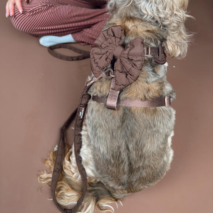Dog in Cocopup London espresso quilted harness and leash with sailor bow, next to person in pink pants.