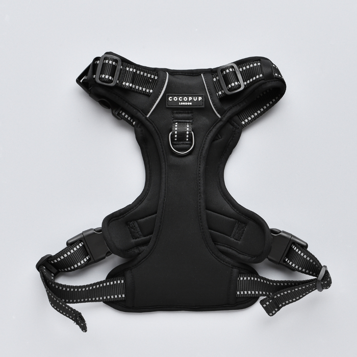 NAKD Liquorice Explore Harness by Cocopup London, black adjustable harness with metal ring on a light background.