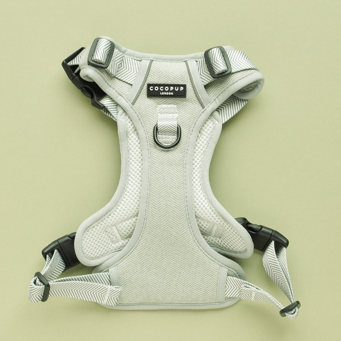 Sage Tweed Explore Harness by Cocopup London in light grey with black buckles on a pale green background.