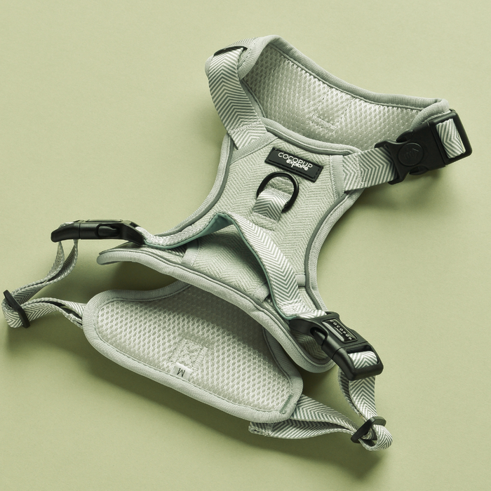 Sage tweed dog harness with adjustable light gray straps, mesh padding, and plastic buckles on a sage background.