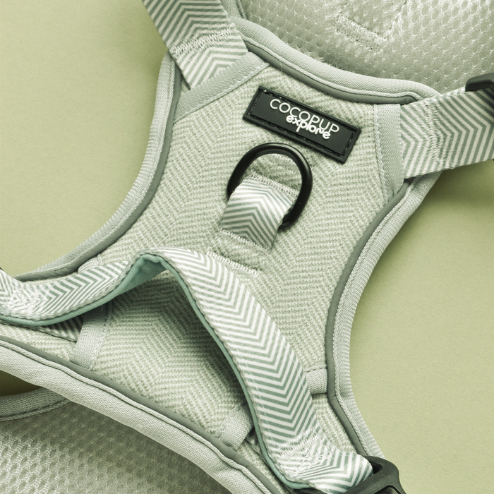 Cocopup London Explore Harness in sage tweed with chevron straps and metal ring on a light background.