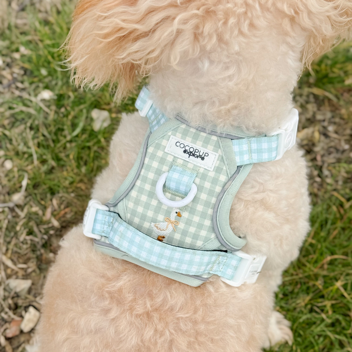 Fluffy dog wearing a green and white check Cocopup London Explore Harness on grass.