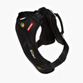 EzyDog Drive car harness in black, front angle view showing padded chest plate